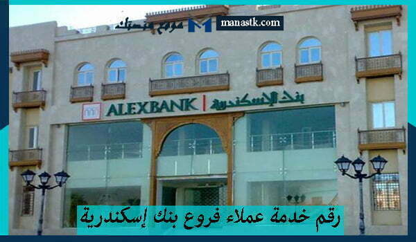 رقم خدمة عملاء فروع بنك إسكندرية