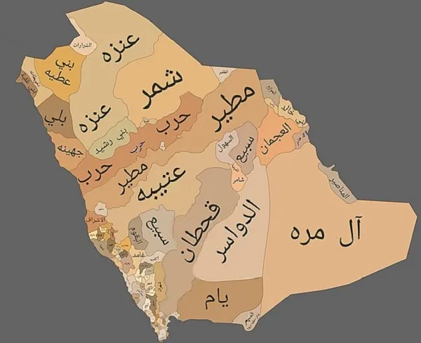تعداد القبائل في السعودية 2026 كم عدد افراد القبائل؟
