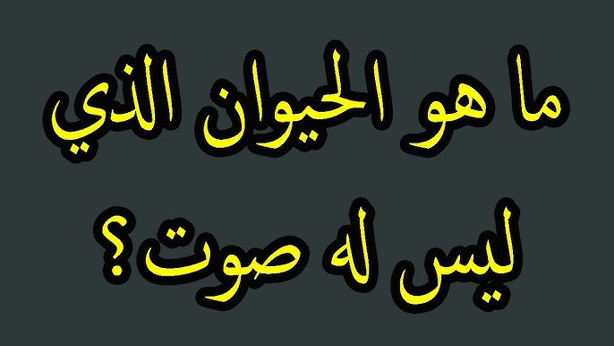 اسئلة عامة واجوبتها