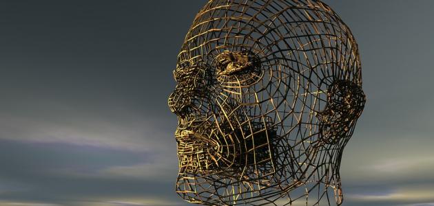 أبرز حقائق ومعلومات عن الإنسان